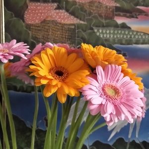 Meet your Posher, Nadja